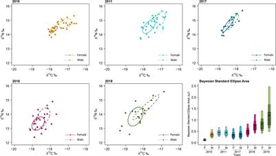 Sexual Mismatch Between Vessel-Associated Foraging and Discard Consumption in a Marine Top Predator